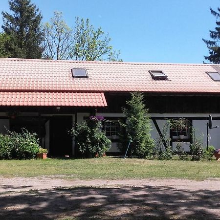 Villa Agroturystyka Pod Debami W Klukach Smołdzino Exterior foto